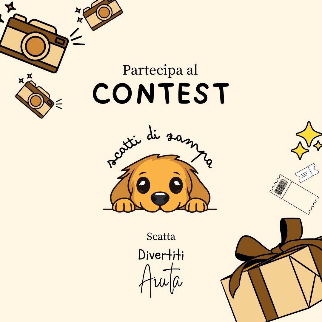 Contest